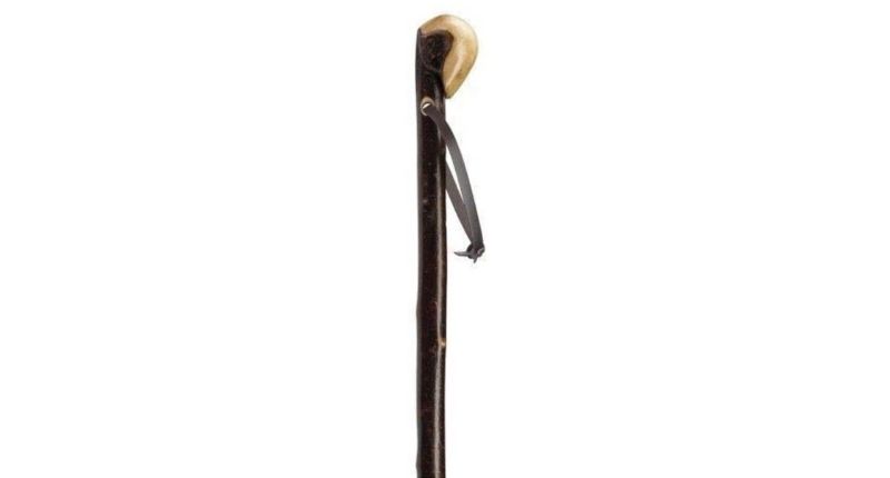 blackthorn walking stick large