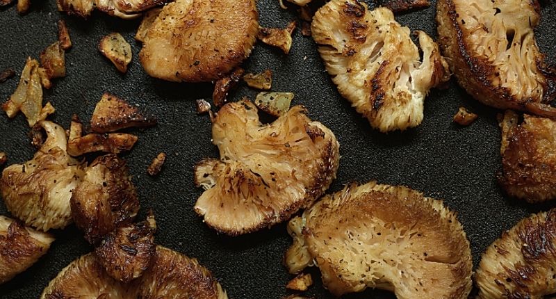 how to add lions mane mushrooms to your diet