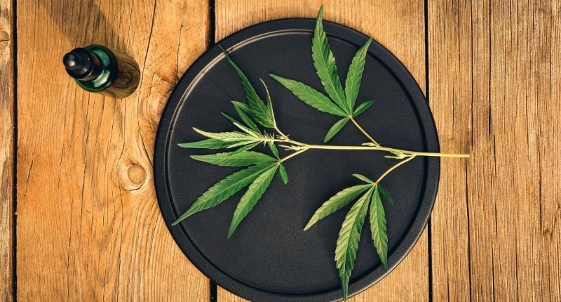 benefits of the hemp plant for inflammation